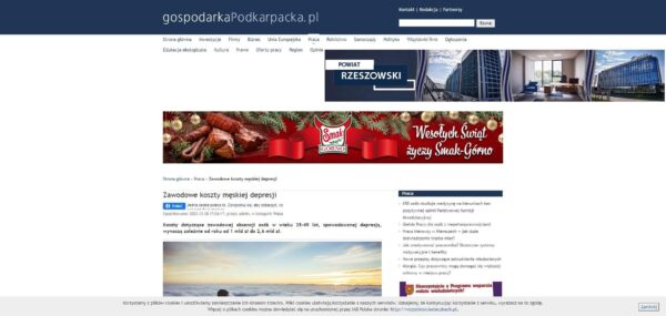 Zawodowe koszty męskiej depresji